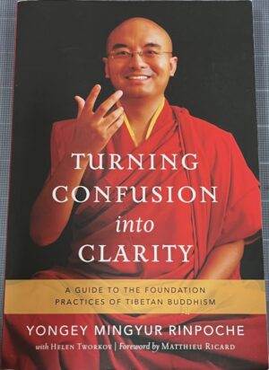 Turning Confusion into Clarity A Guide to the Foundation Practices of Tibetan Buddhism Yongey Mingyur Rinpoche