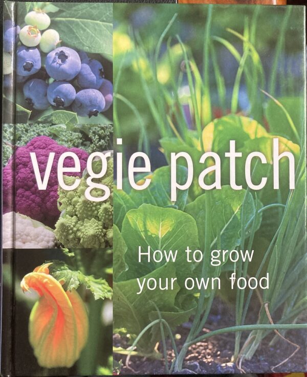 Vegie Patch Alan Buckingham Jennifer Wilkinson