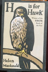 H is for Hawk