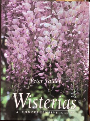 Wisterias A Comprehensive Guide Peter Valder